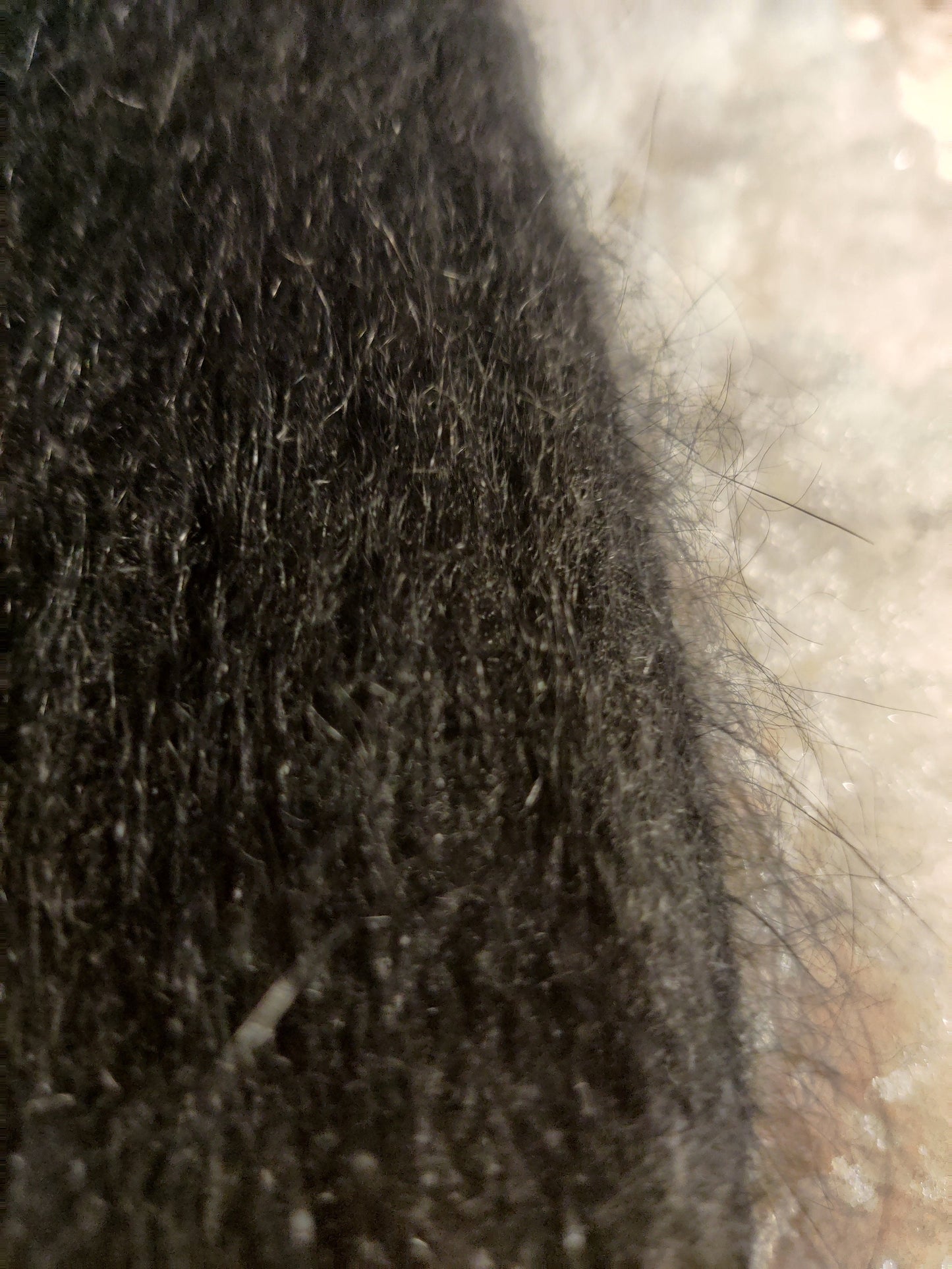 Bonnet en tricot à pompon synthétique pour femme, triple épaisseur, bonnet intérieur en coton, bonnet en laine angora, bonnet épais, bonnet coupe-vent super doux et confortable